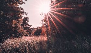 Превью обои солнечный свет, луг, трава, лучи