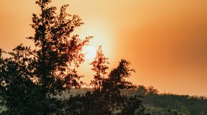 Превью обои солнце, деревья, небо, лучи