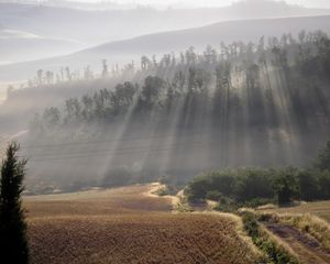 Превью обои солнце, лучи, туман, утро, поле, холмы