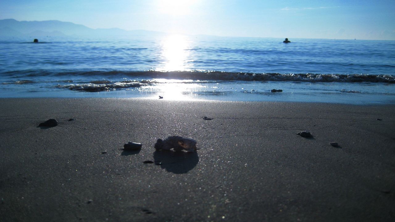 Обои солнце, море, свет, пляж, берег, мокрый, крупицы, мусор
