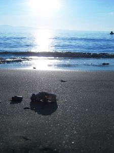 Превью обои солнце, море, свет, пляж, берег, мокрый, крупицы, мусор