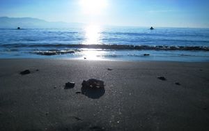 Превью обои солнце, море, свет, пляж, берег, мокрый, крупицы, мусор