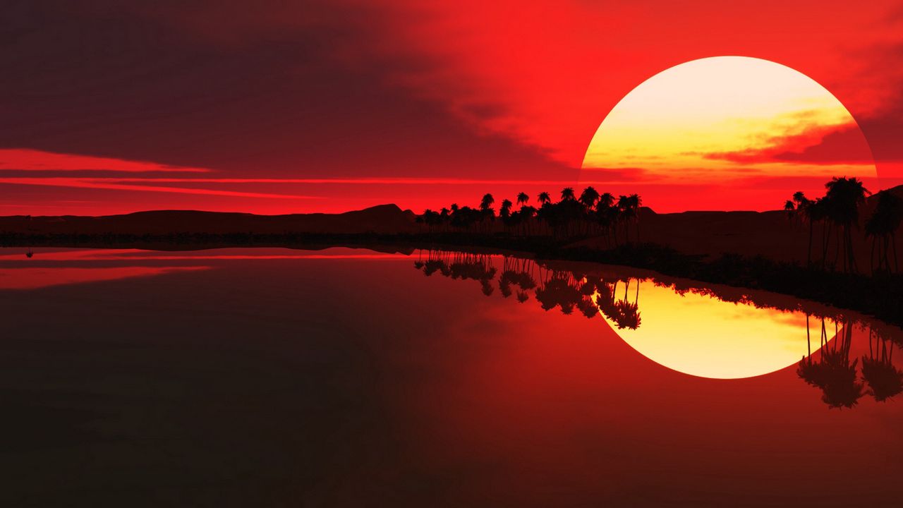 Обои солнце, закат, пальмы, очертания, вечер, отражение
