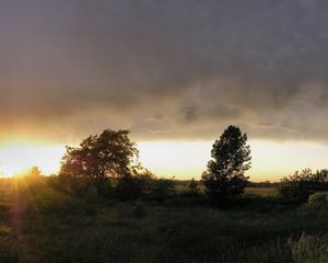 Превью обои солнце, закат, поляна, деревья, горизонт, очертание, уныние, вечер