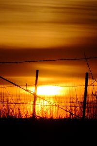 Превью обои солнце, закат, силуэты, трава, облака, небо, темный
