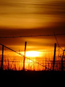 Превью обои солнце, закат, силуэты, трава, облака, небо, темный