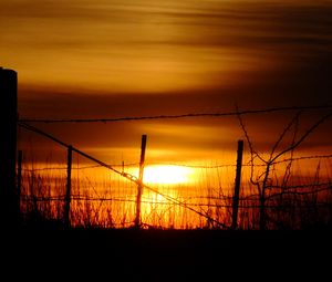 Превью обои солнце, закат, силуэты, трава, облака, небо, темный