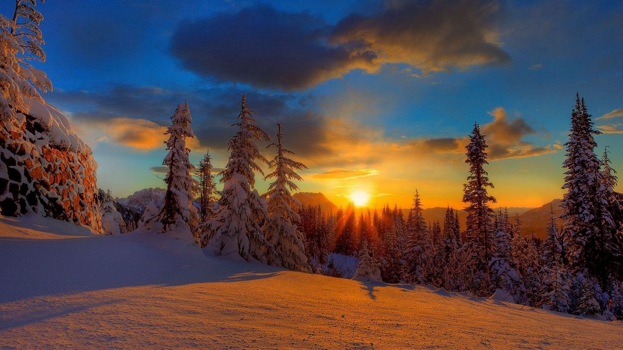 Обои солнце, закат, вечер, снег, деревья, ели, тень