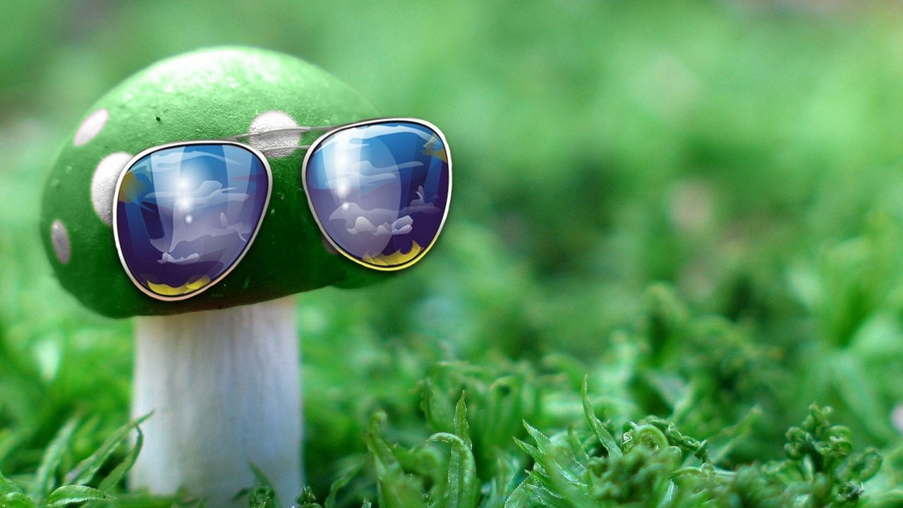Обои солнцезащитные очки, гриб, идея, креатив, трава, необычный