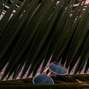 Превью обои солнцезащитные очки, очки, пальма, ветки, листья