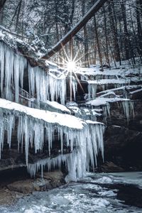 Превью обои сосульки, лед, зима, солнце