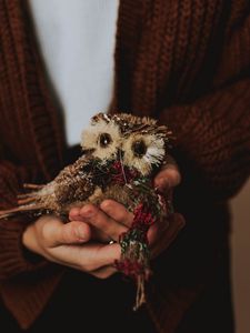 Превью обои сова, игрушка, украшение, птица, руки