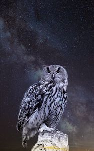 Превью обои сова, звездное небо, фотошоп