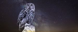 Превью обои сова, звездное небо, фотошоп