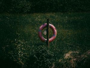 Превью обои спасательный круг, трава, река, отражение, вода, озеро