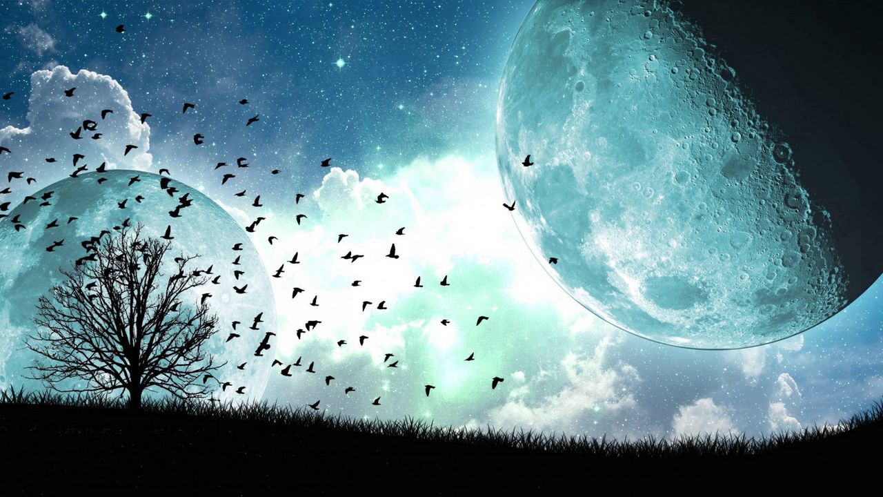 Обои спутник, луна, птицы, арт, дерево, полет