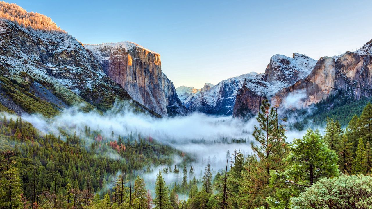 Обои сша, национальный парк йосемити, калифорния, горы, туман, деревья