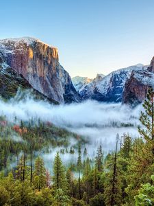 Превью обои сша, национальный парк йосемити, калифорния, горы, туман, деревья