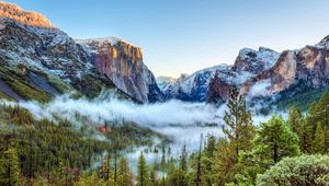 Превью обои сша, национальный парк йосемити, калифорния, горы, туман, деревья