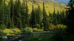 Превью обои сша, вашингтон, mt baker-snoqualmie national, лес, река