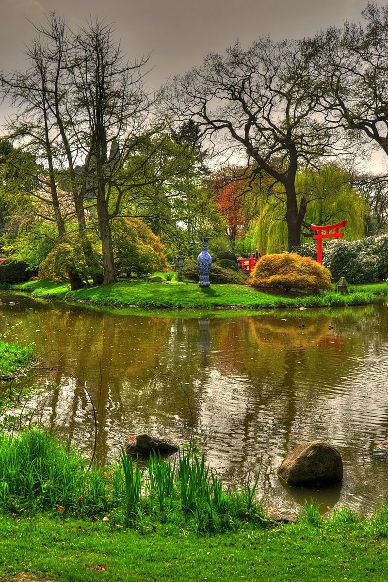 800x1200 Обои статуя, дракон, пруд, сад, ярко, зеленый