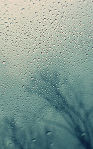 Превью обои стекло, капли, вода, дерево, силуэт