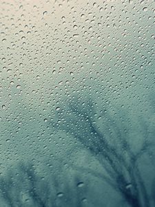 Превью обои стекло, капли, вода, дерево, силуэт