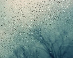 Превью обои стекло, капли, вода, дерево, силуэт