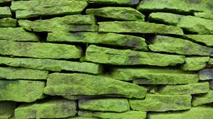 Превью обои стена, камень, поверхность, текстура, зеленый