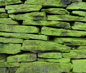 Превью обои стена, камень, поверхность, текстура, зеленый