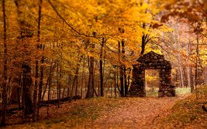 Превью обои стена, проем, лес, камни, осень, листья, деревья