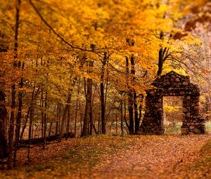 Превью обои стена, проем, лес, камни, осень, листья, деревья