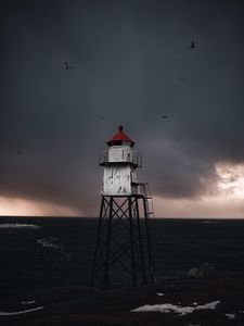 Превью обои строение, море, птицы, волны