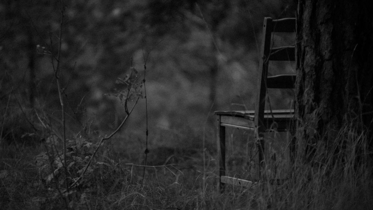 Обои стул, чб, лес, трава, мрачный