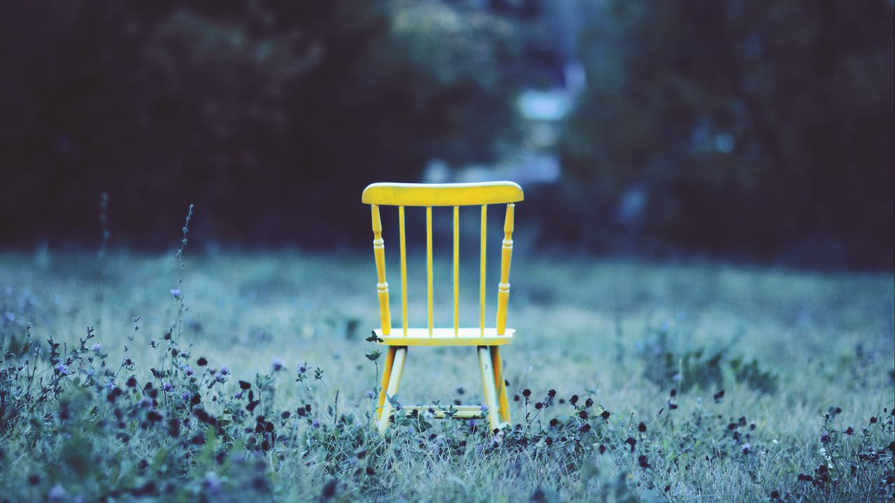 Обои стул, поле, трава, цветы, минимализм