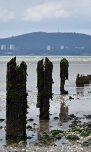 Превью обои сваи, берег, галька, море, горы