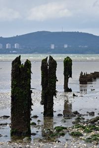 Превью обои сваи, берег, галька, море, горы