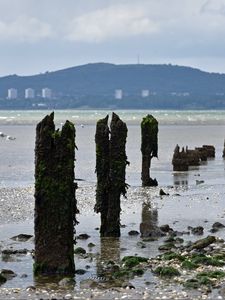 Превью обои сваи, берег, галька, море, горы