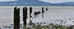 Превью обои сваи, берег, галька, море, горы