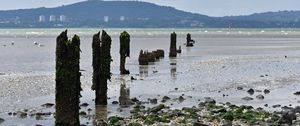 Превью обои сваи, берег, галька, море, горы