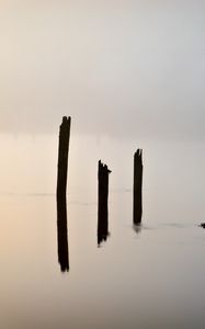 Превью обои сваи, озеро, вода, минимализм