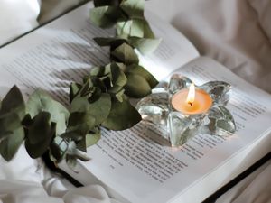 Превью обои свеча, ветка, книга