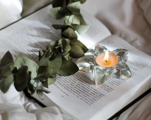 Превью обои свеча, ветка, книга
