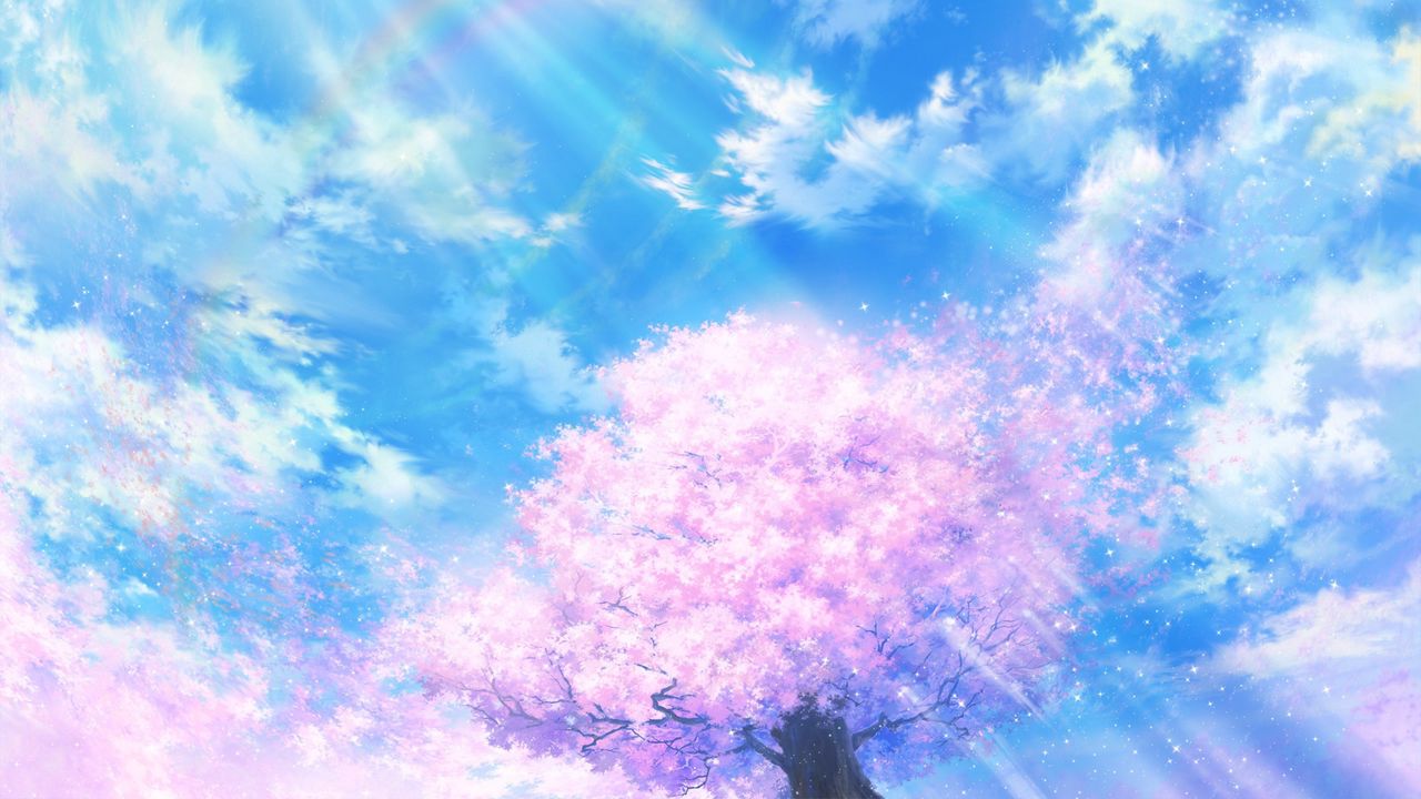 Обои свет, сакура, дерево, небо, яркий