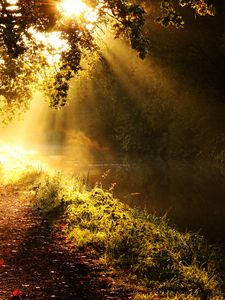 Превью обои свет, солнце, лучи, зарево, река, ветви, дерево, утро