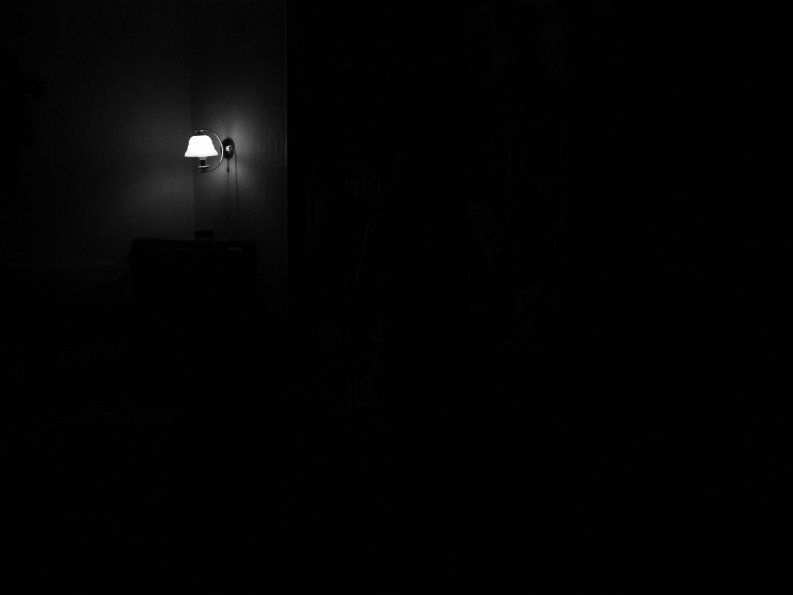 Погасив свет комната погрузилась во мрак впр