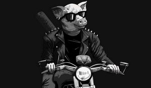 Превью обои свин, очки, байкер, мотоцикл, арт, черно-белый