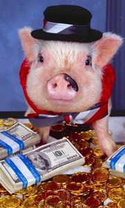 Превью обои свинья, наряд, деньги, шляпа, золото, монеты, комната, костюм