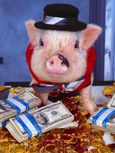 Превью обои свинья, наряд, деньги, шляпа, золото, монеты, комната, костюм