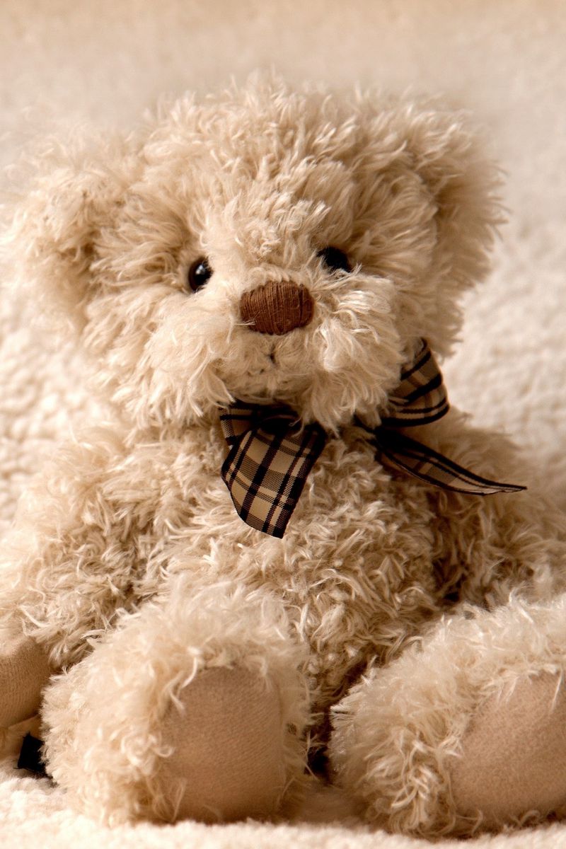 Скачать 800x1200 teddy bear, игрушка, мишка, плюшевый обои, картинки iphone  4s/4 for parallax